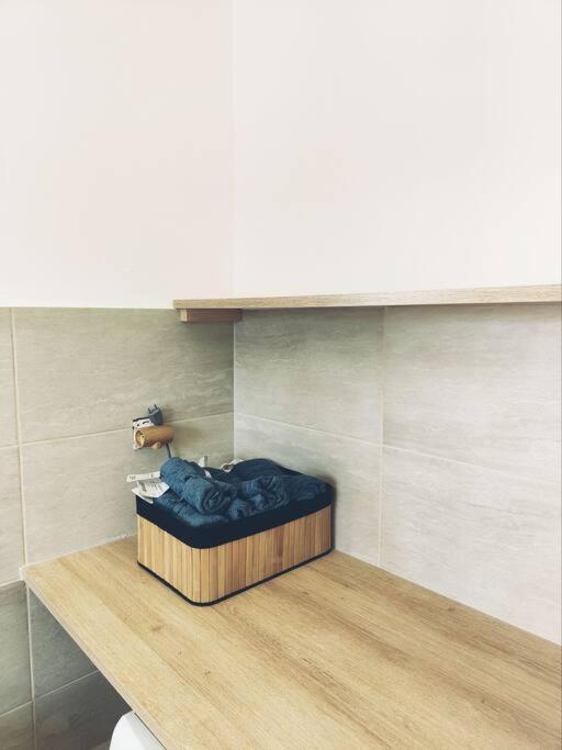 Beau Duplex Familial Avec Jardin Cloture Daire Douvaine Dış mekan fotoğraf