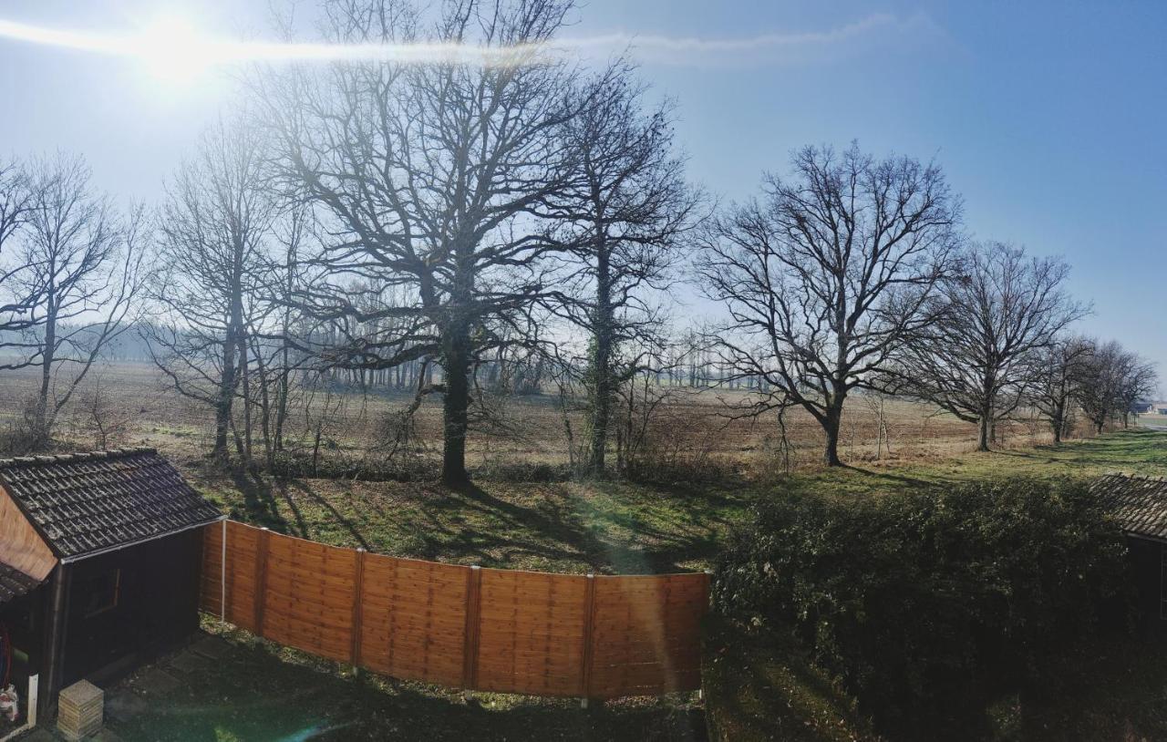 Beau Duplex Familial Avec Jardin Cloture Daire Douvaine Dış mekan fotoğraf